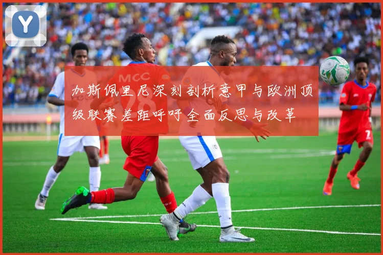 加斯佩里尼深刻剖析意甲与欧洲顶级联赛差距呼吁全面反思与改革